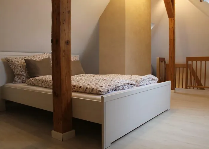 Paula * 韦尼格罗德